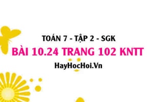 Bài 10.24 trang 102 Toán 7 Tập 2 Kết nối tri thức